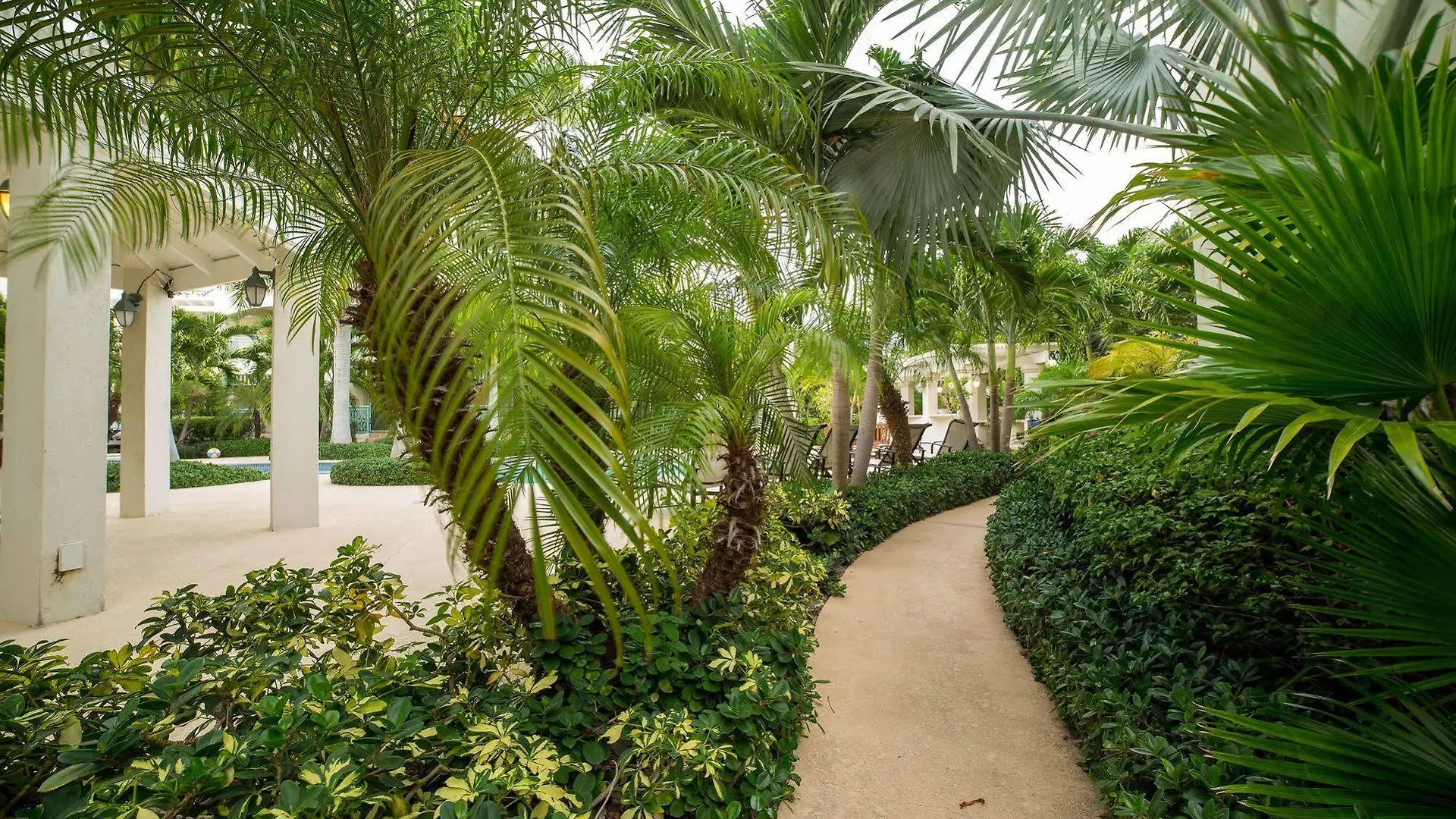 Caribbean Diamond Residence Providenciales 0*,